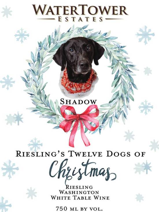 Local News: Special holiday fundraiser supports local animal shelter  (12/13/19) | Brazil Times